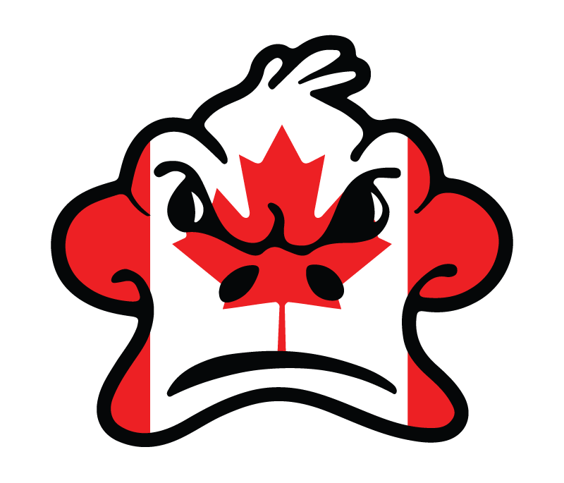 Canadian duck icon mark