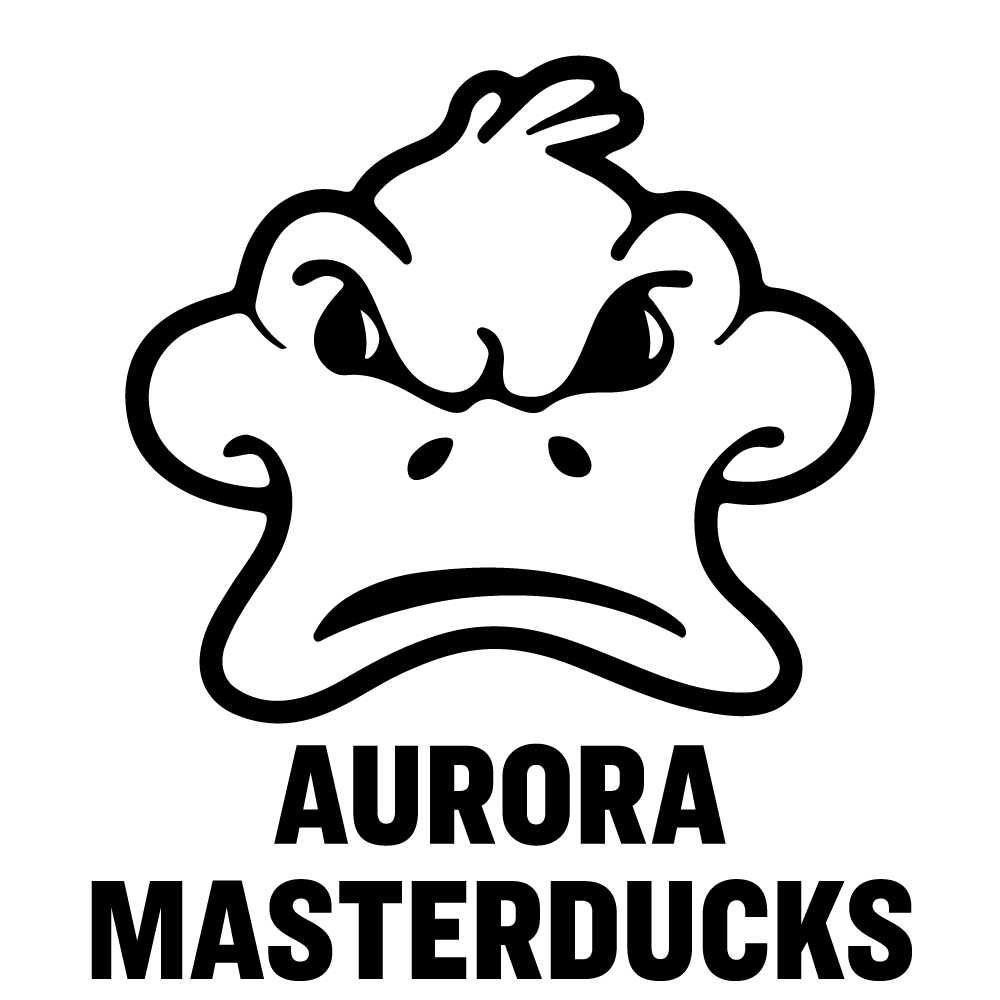 Primary logo for light backgrounds